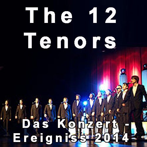The 12 Tenors Konzerte 2014