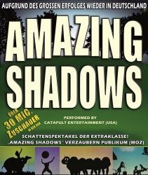 Flyer AMAZING SHADOWS performed by CATAPULT ENTERT...