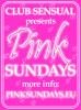 Partys Flyer